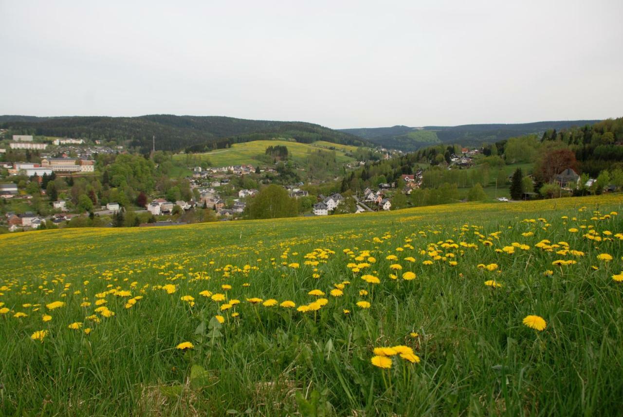 Ferienwohnung Koernerberg Klingenthal Exterior photo